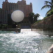 Picture 008